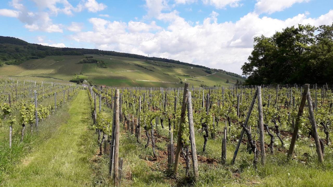 Villa/Appartement Au Coeur Des Vignes *** 바 외부 사진