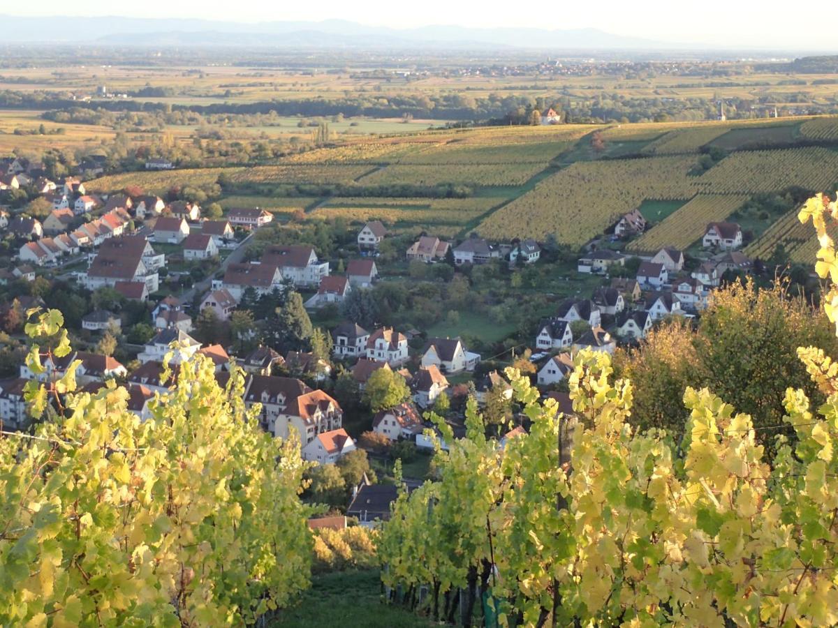 Villa/Appartement Au Coeur Des Vignes *** 바 외부 사진